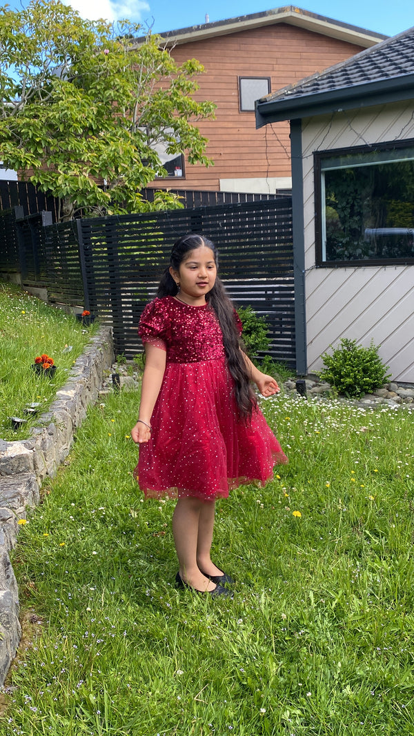 Christmas Red  Sequin Dress